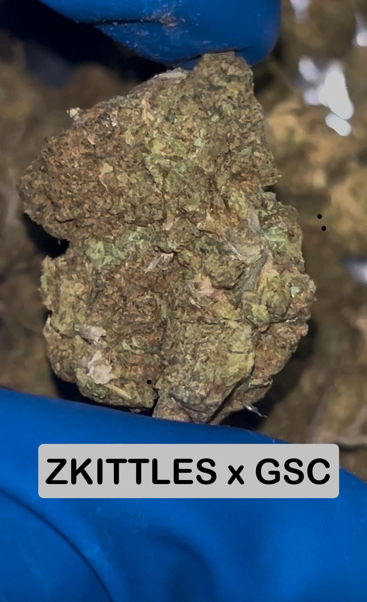 Cali Top Mids - Image 2